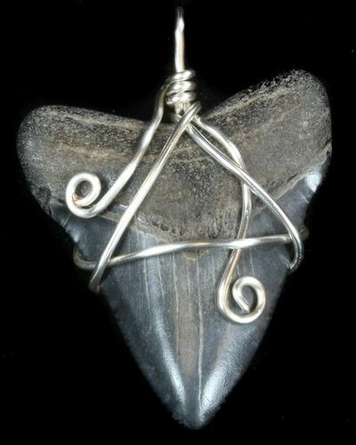 Fossil Megalodon Tooth Pendant #36438